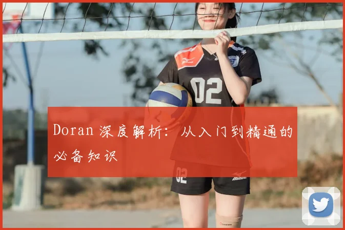 Doran 深度解析：从入门到精通的必备知识
