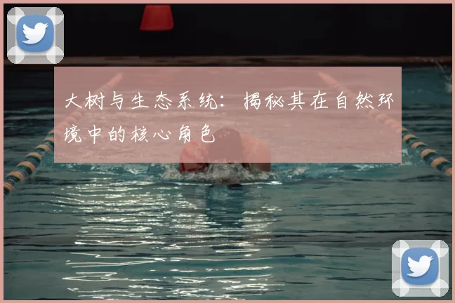 大树与生态系统：揭秘其在自然环境中的核心角色
