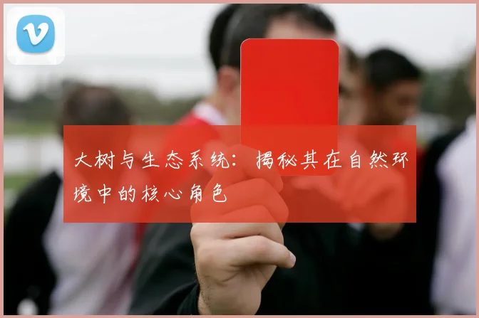 大树与生态系统：揭秘其在自然环境中的核心角色