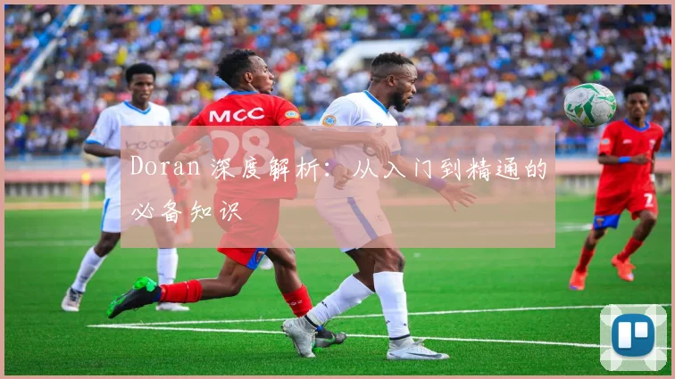 Doran 深度解析:从入门到精通的必备知识