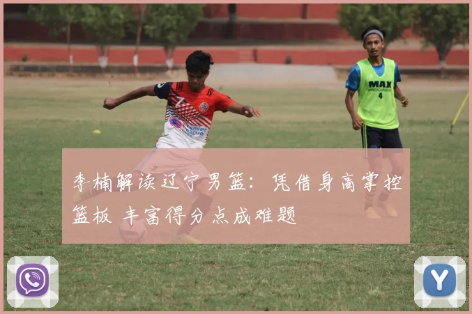 李楠解读辽宁男篮：凭借身高掌控篮板 丰富得分点成难题