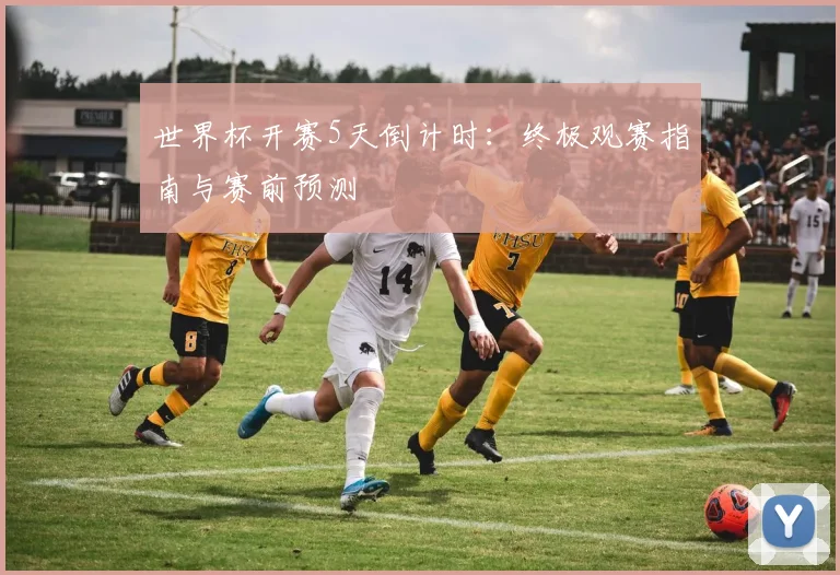 世界杯开赛5天倒计时：终极观赛指南与赛前预测