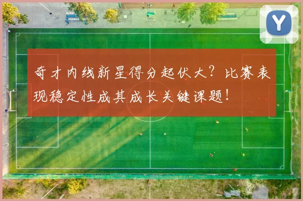 奇才内线新星得分起伏大？比赛表现稳定性成其成长关键课题！