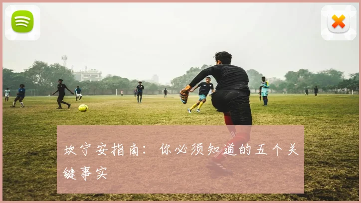 坎宁安指南:你必须知道的五个关键事实